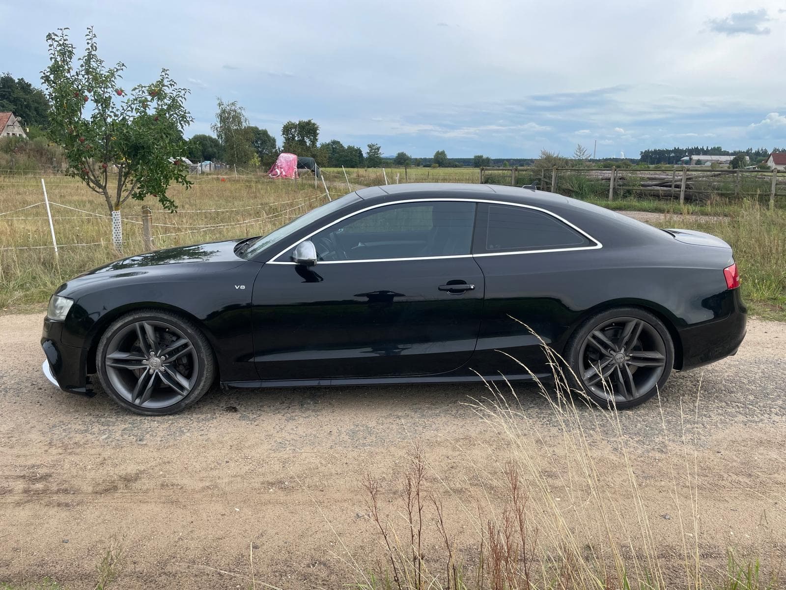 Audi S5 2